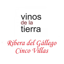 V.T. Ribera del Gallego - Cinco Villas
